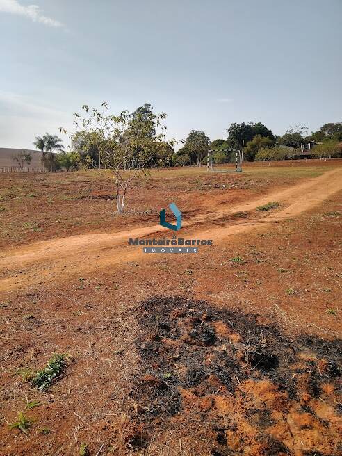 Fazenda à venda com 3 quartos, 1800m² - Foto 33