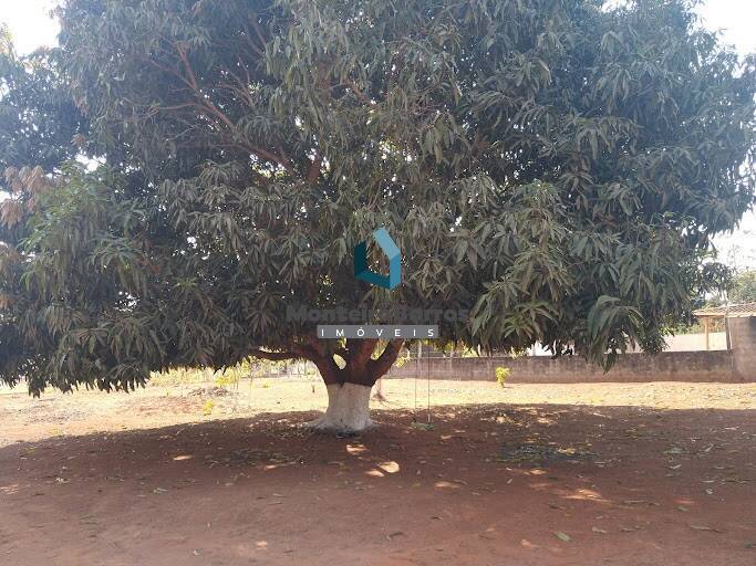 Fazenda à venda com 3 quartos, 1800m² - Foto 41